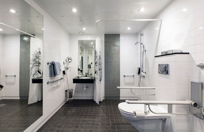 Accessible Shower Features